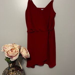 Naked Zebra Wine Wrap dress NWT